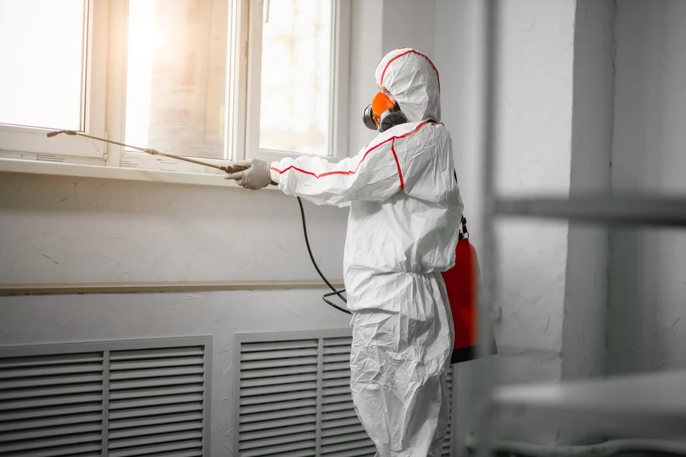 Professional mold remediation services in Cibolo, TX